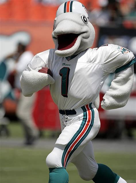 The Science of Comfort: Improving the Dolphin Mascot Getup for Performers